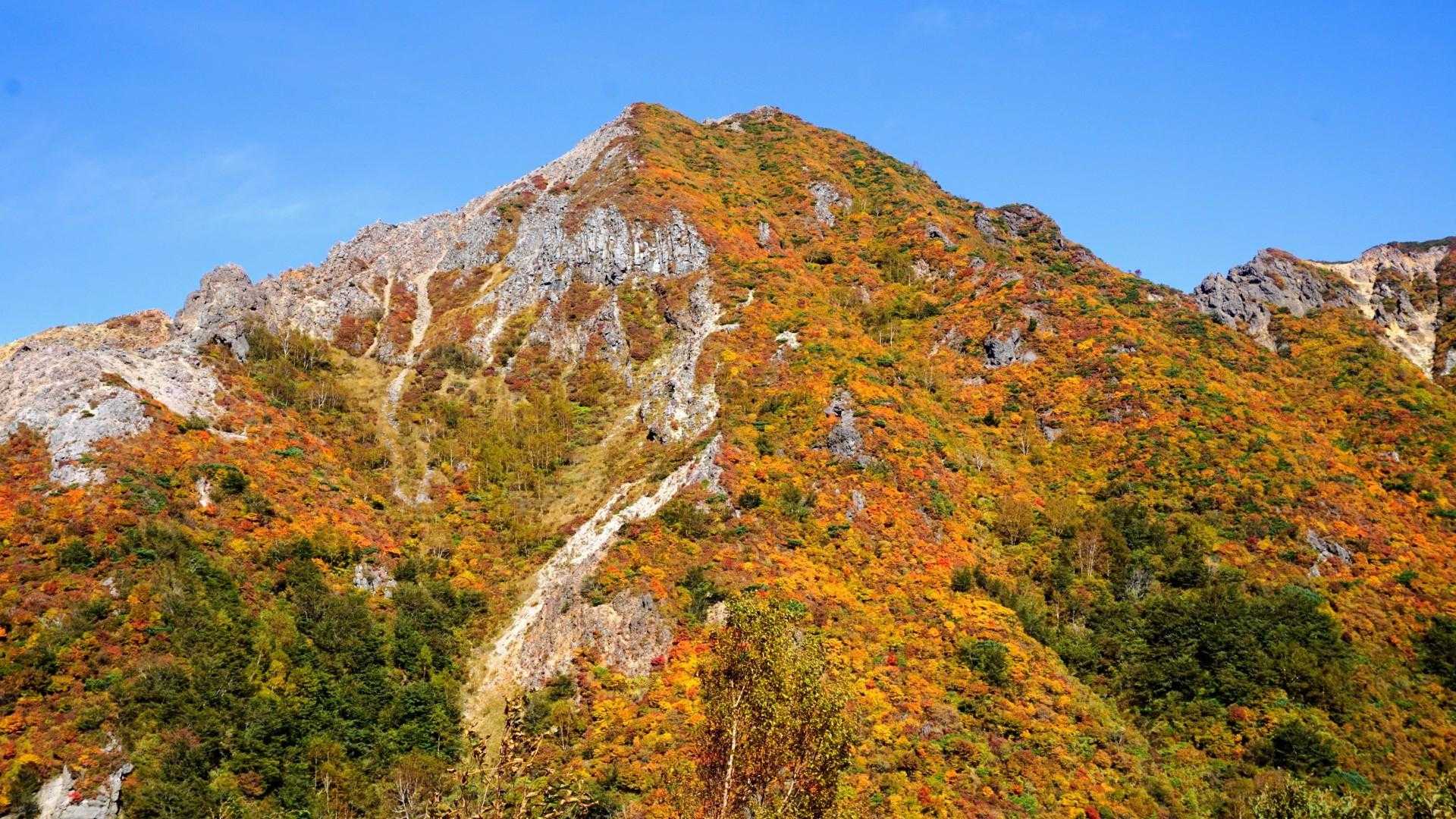 山頂駅-茶臼岳-朝日の肩-朝日岳-熊見曽根-1900m峰- 縦走コースの写真