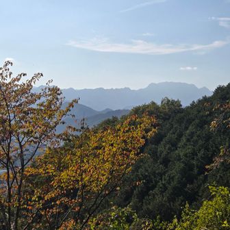 山頂からの眺め
両神山