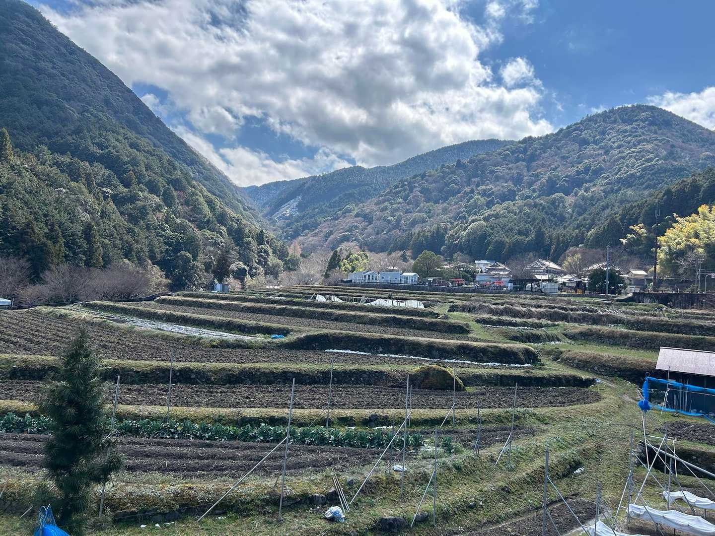 登ってきた道をピストン下山し