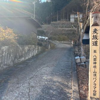 ロープウェイ山頂駅からここまで、一気に走ってきた💨今日の『走る』は終わりか？