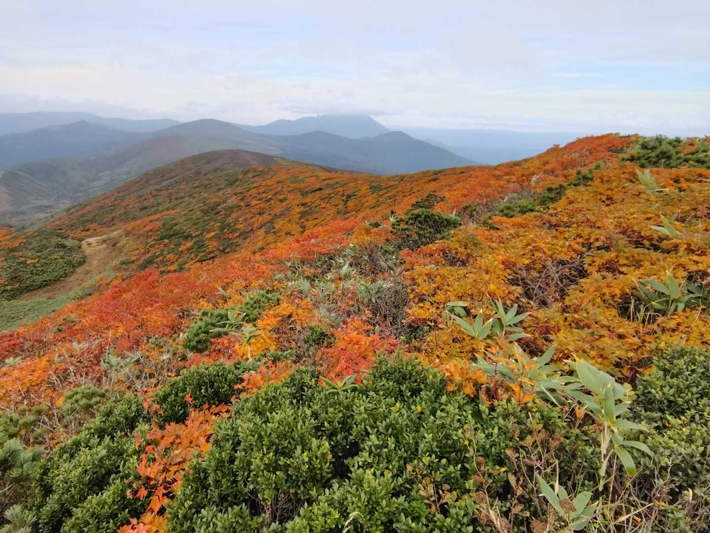 ここからの紅葉が一番きれいでした