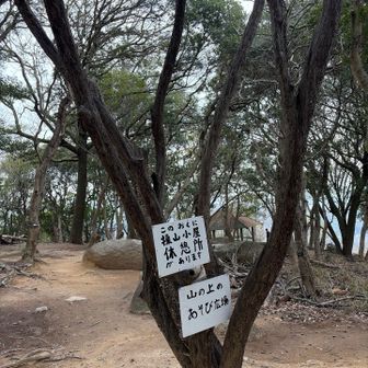 今日はご家族連れも多いので、東屋はスルーして行きます