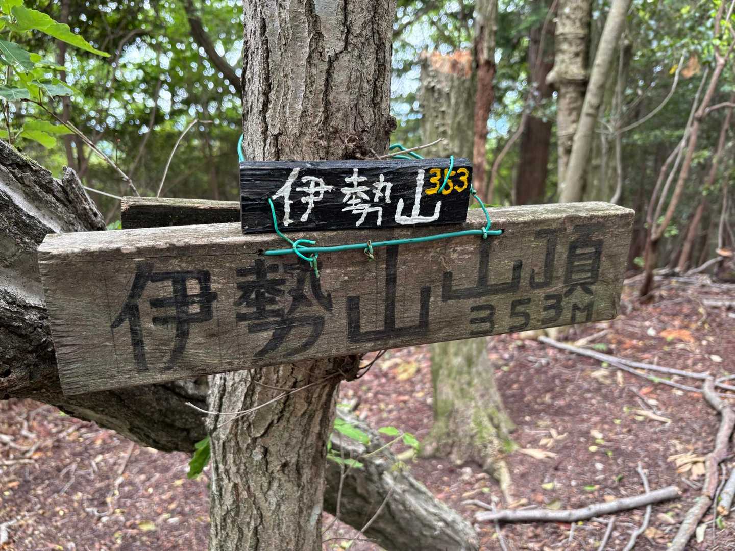 伊勢山に到着です　353m