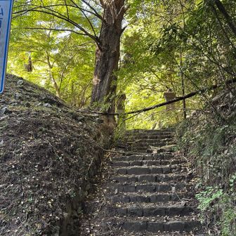私有地の先に気になる遺構🧐