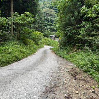 水無登山口　雨はまだセーフです。