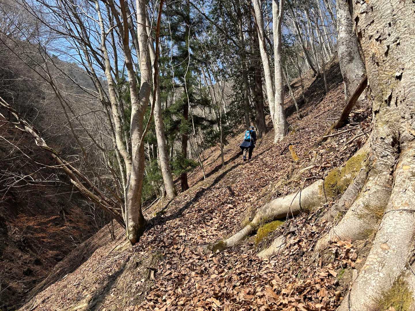 🍂トラバース
歩きにくい😨