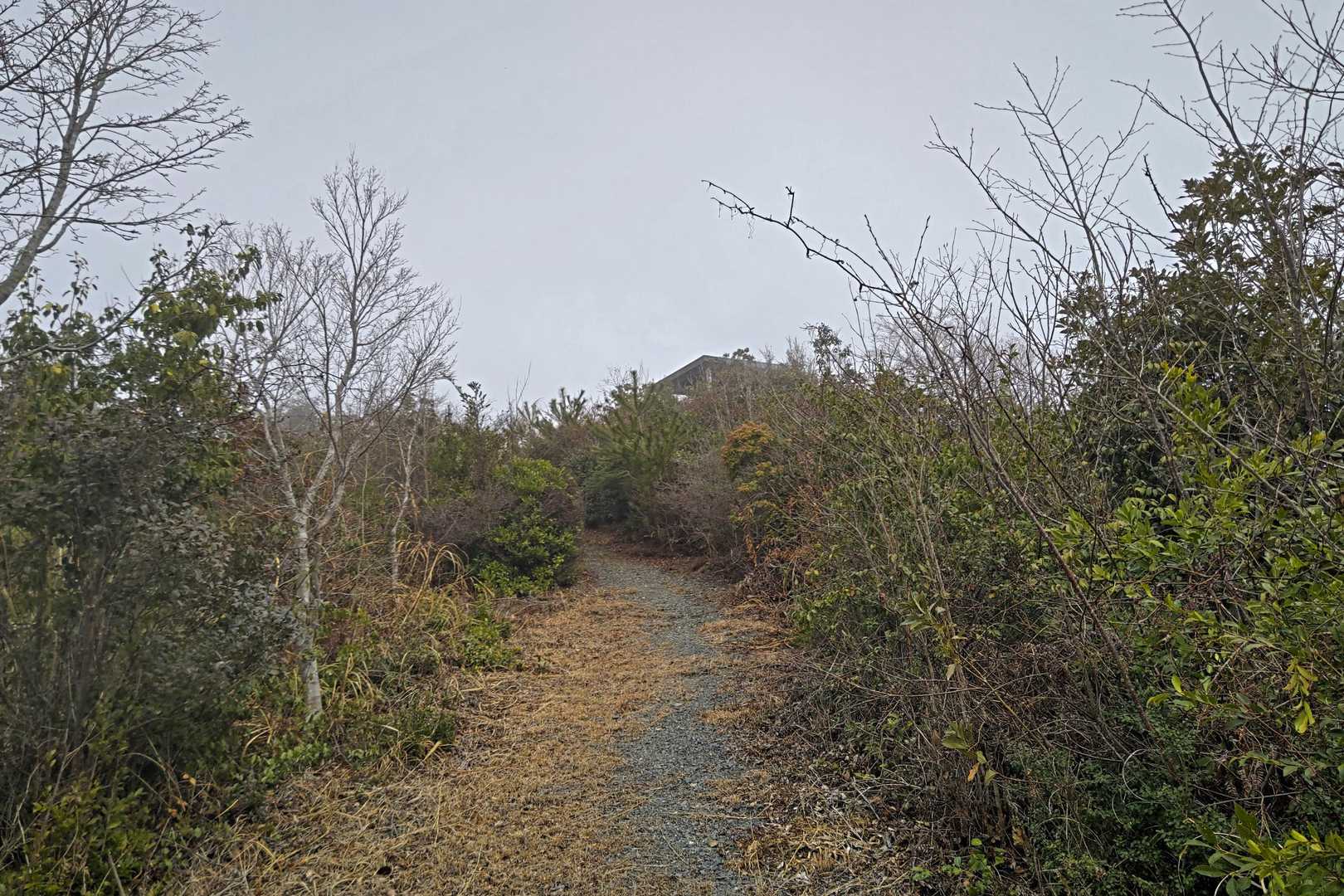 東屋が見えて来ました🎶尾根道に到着❗