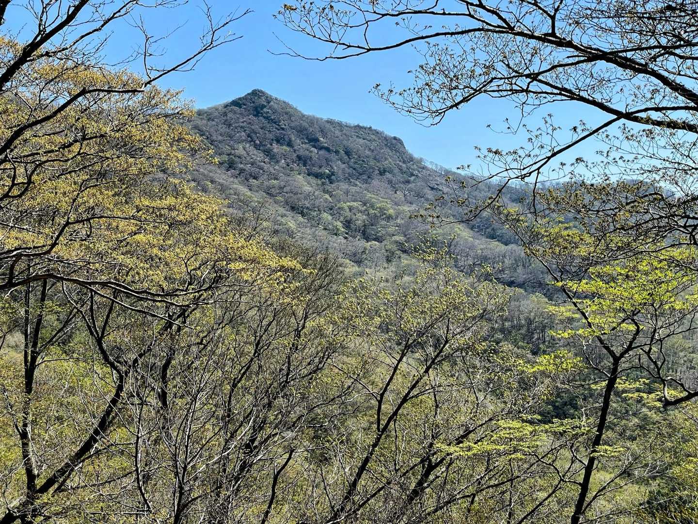 黒岳👋