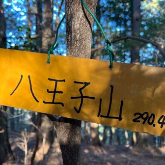 八王子山きた😀