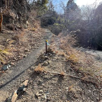 山頂からの激下りを無事通過し
アスファルト道をてくてく
ここから岳山や高尾山へ