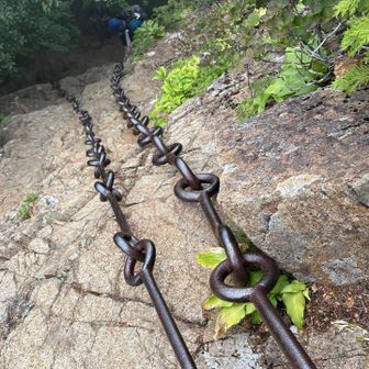 これを登ってきた