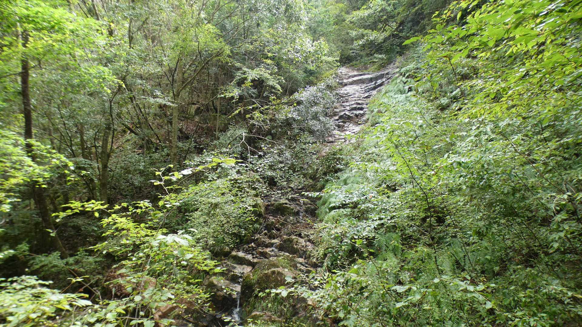 岩場を細く水が流れ落ちている。
厳寒期には氷瀑になるかも。
