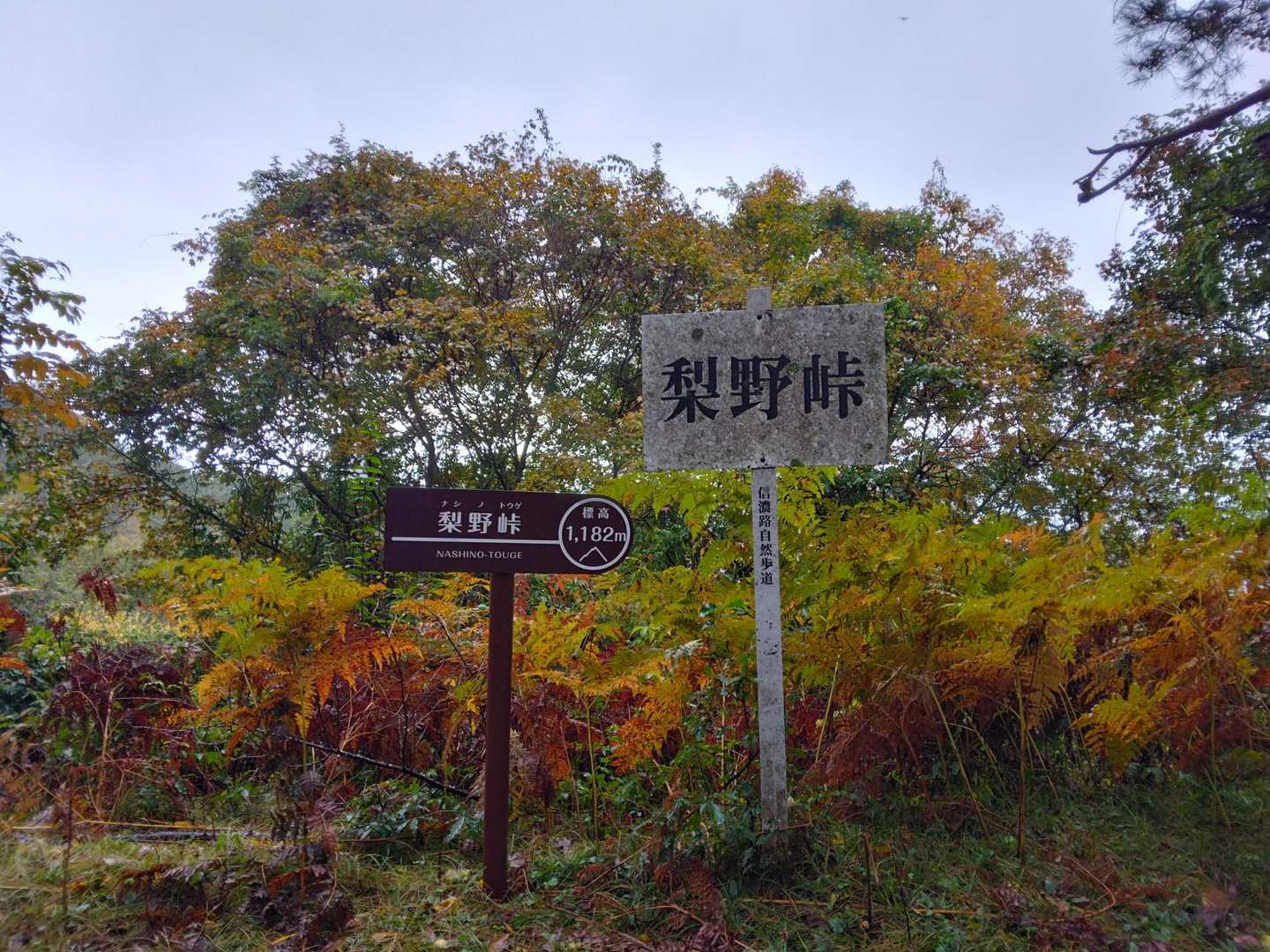 高鳥屋山-梨子野山-梨子野峠 縦走コースの写真