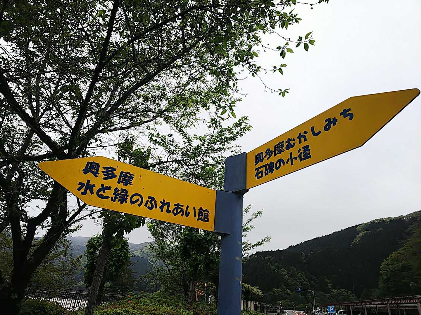 さて、出発。既に予定より30分遅れ。少し雨。