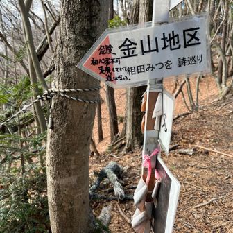 危ないですよ
廃道だもの
みつを
