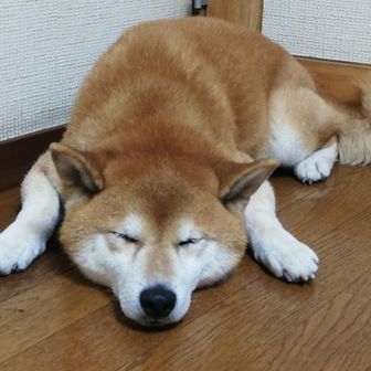 nao-jiiji