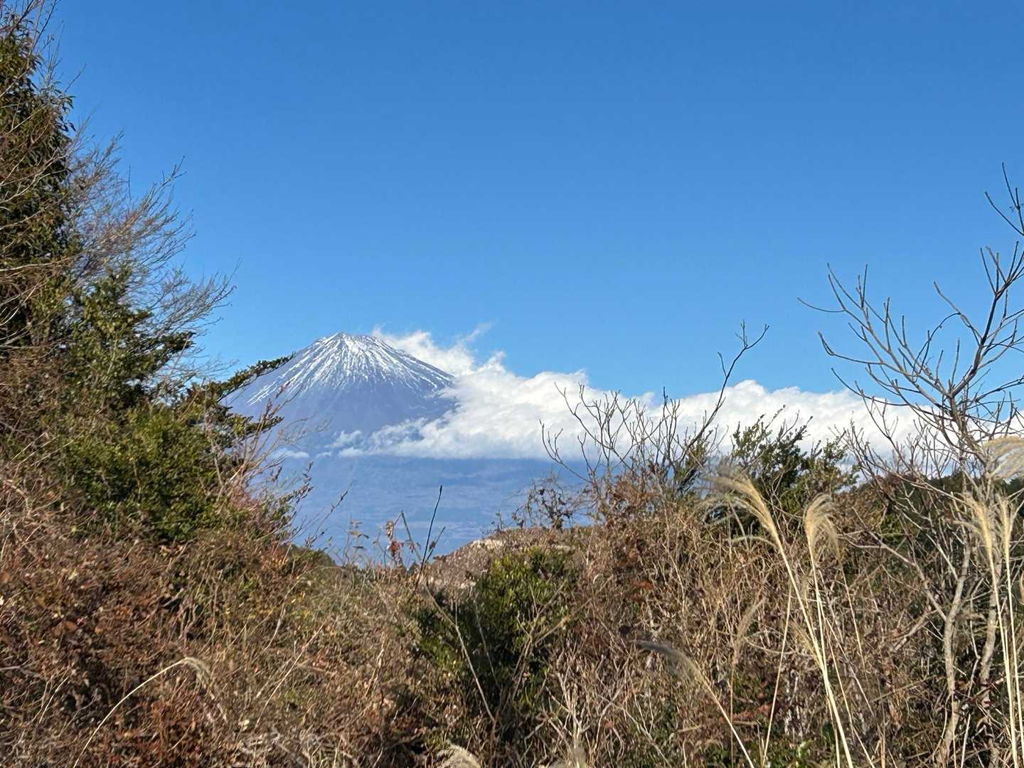 富士山がワニに首元をかぶりつかれてるー！