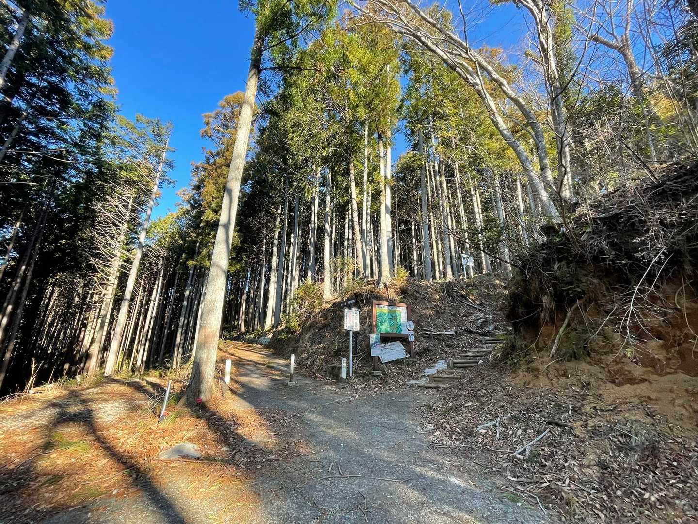狭い林道の奥、ここを右に入ったところから登山道。