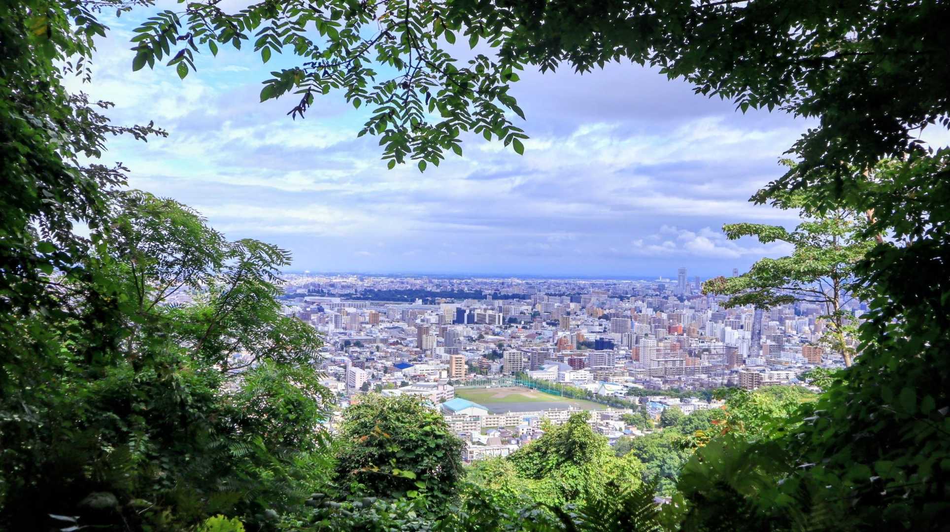ここから三角山
二人静の🪟
