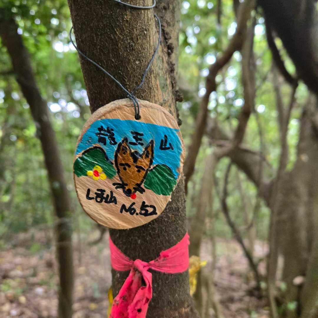 龍王山登山口-龍王山-祇園社 周回コースの写真