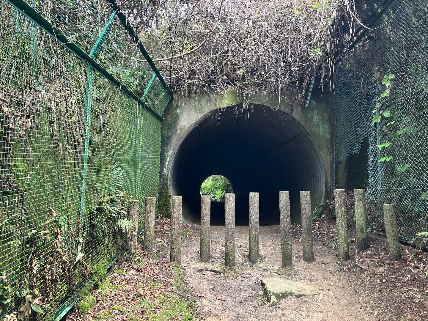 国見山登山口-国見山-ふれあいの里-交野山 往復コースの写真