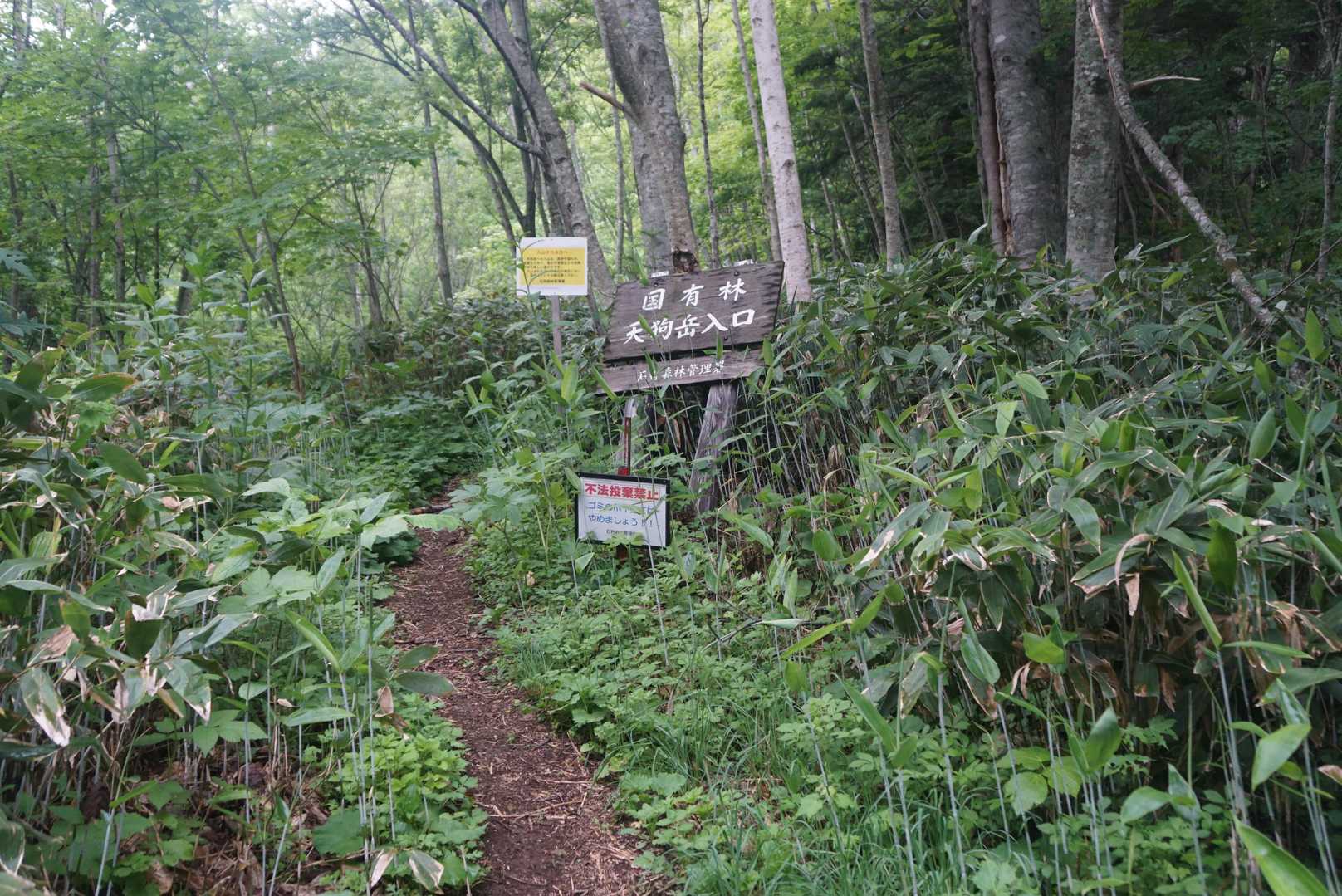 お喋りに夢中でムダに歩きしちゃった…ホホホ…登山開始