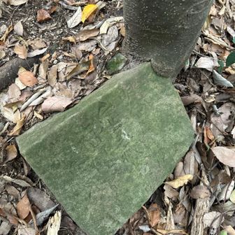 石刻がある🪨あちこちに転がってる🤔
歴史のありそうな山…。

最後は少しロープ場あり、スニーカーは厳しいか
も。