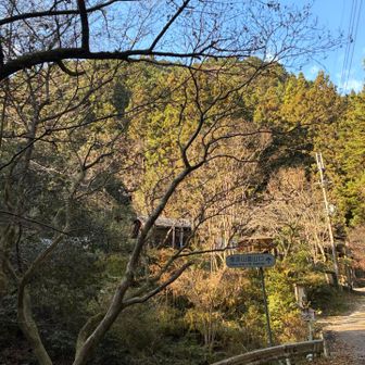 大曲から先も岩がちな道でしたが、無事、下山することができました。