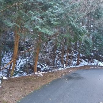 安楽峠に降りてきました
向かいには臼杵ヶ岳に登る登山口