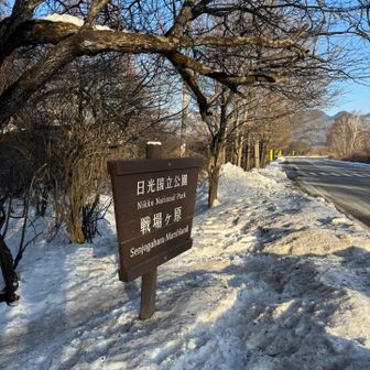 8:00赤沼🅿️からスタート
車道に雪はありませんが遊歩道には雪があるのでチェーンスパイクを装着