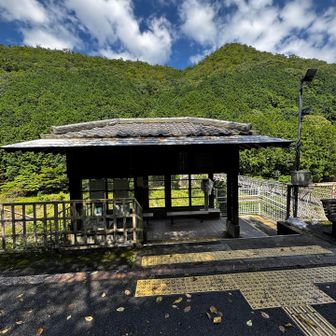 もうすぐトロッコ電車来るらしい