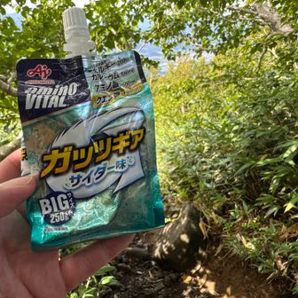 ガッツギアを飲むと気合が入ります