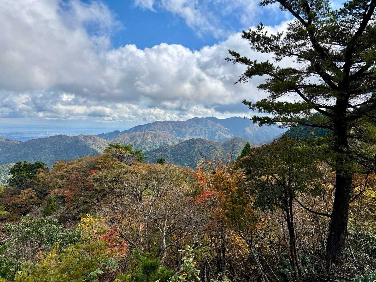 銚子ヶ口登山口-銚子ヶ口-大峠の頭-水舟の池 往復コースの写真