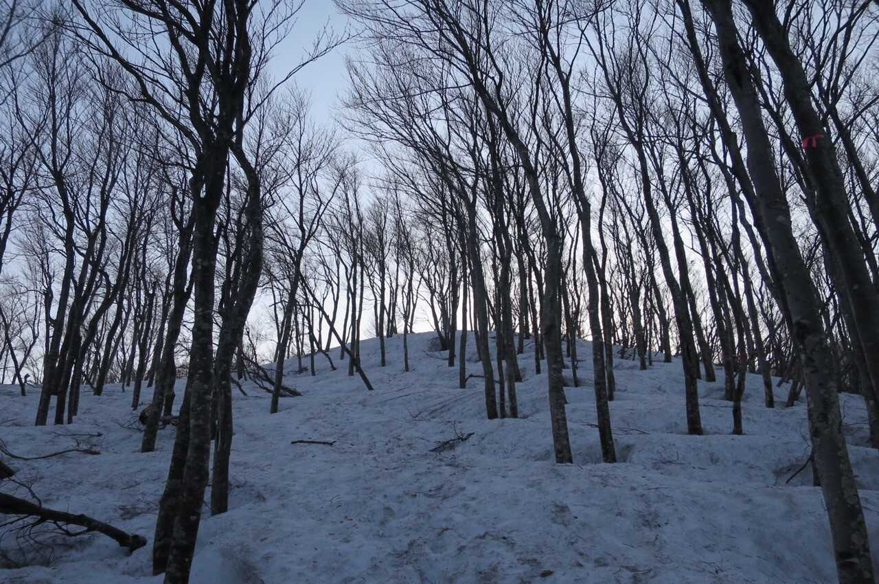定高山の写真