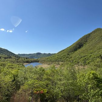 おつかれ山
新緑の中を歩くのは楽しかった☺️

鍋割山も行かなきゃ🐾
