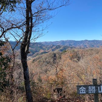 全部で7ピーク取れます