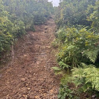 後半は、急登地獄