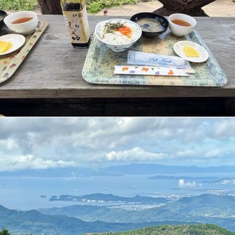 山の家おいし🏠テラス席で卵かけご飯/犬にも与えると珍しくパクパク🐶好きなの⁉️　昨日居た和歌浦が見える