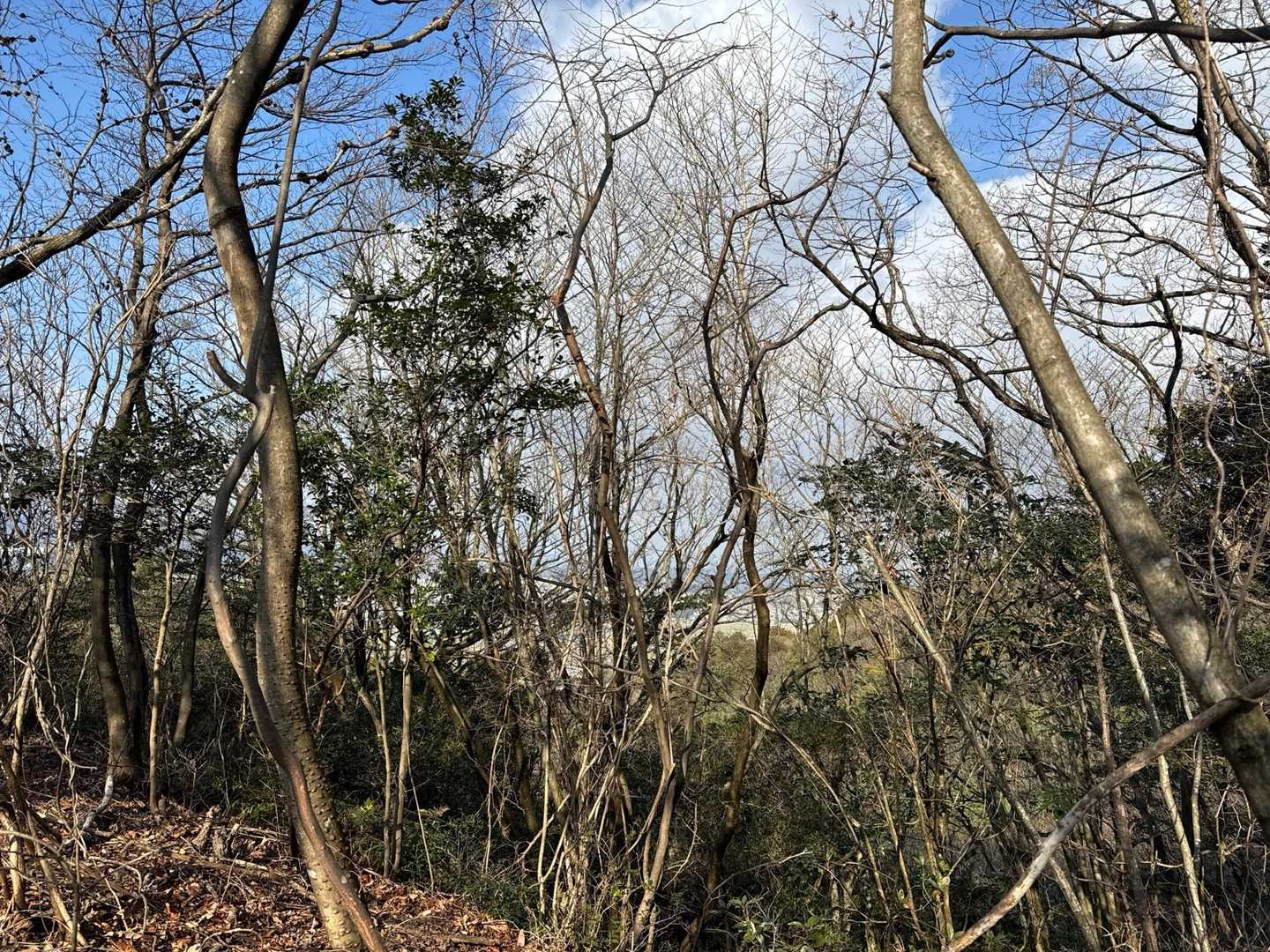 今日もいい天気で14℃くらいまで気温が上がる予報
最高です💖