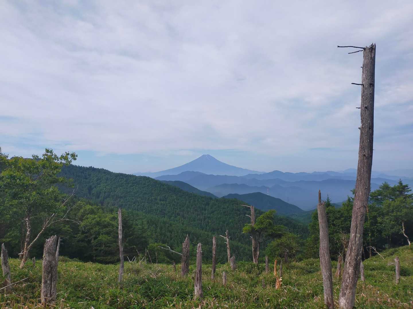 牛奥ノ雁ヶ腹摺山 往復コースの写真