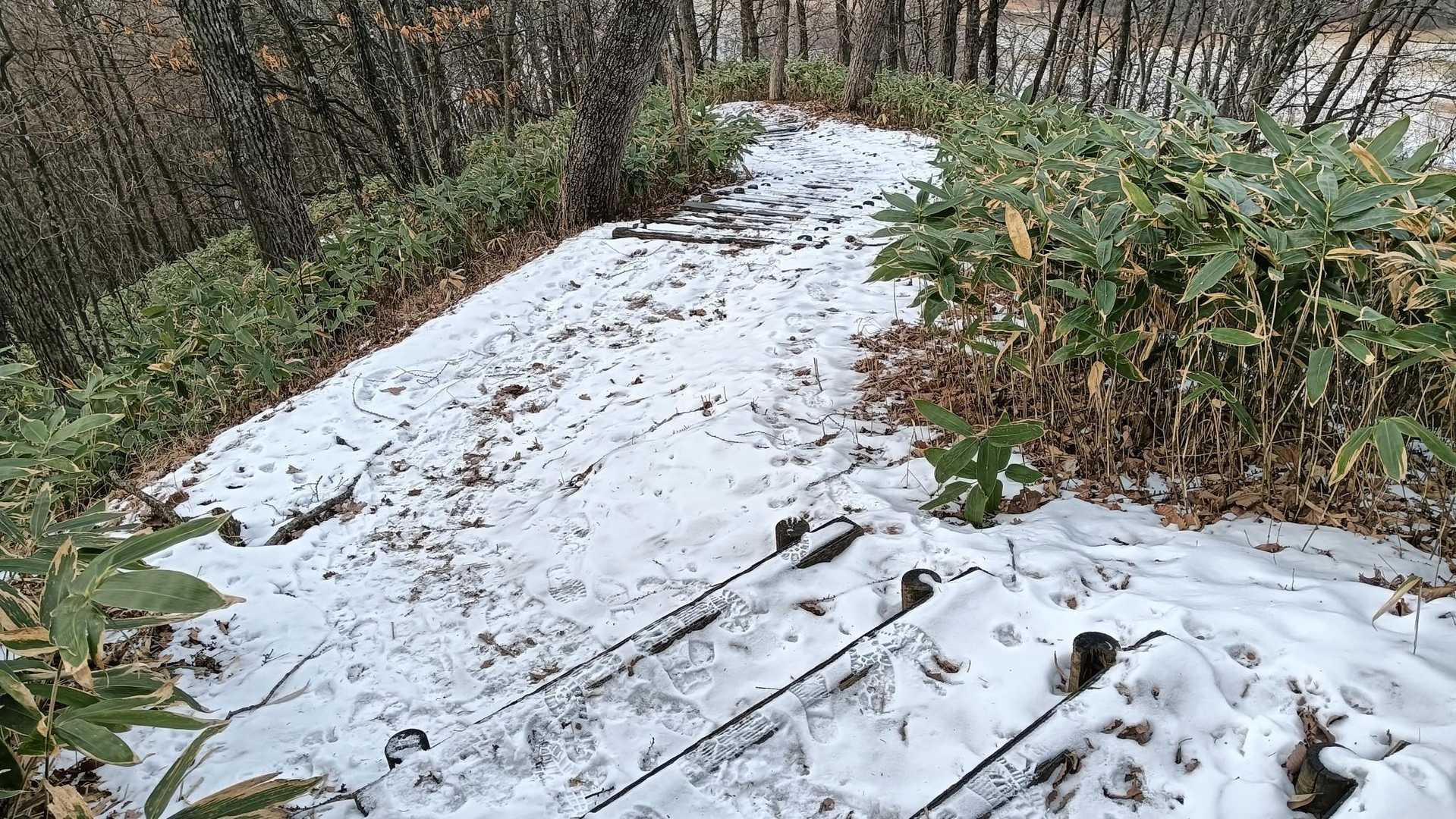新嵐山遊歩道入口-新嵐山 周回コースの写真