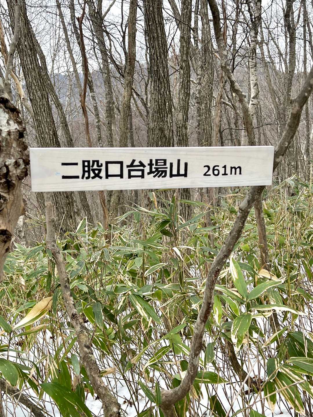 枝に挟んで🪧📸
山名標識は記念撮影の後持ち帰りましたので山頂には有りません💦
残して来たかったのですが面倒な事になるので😆