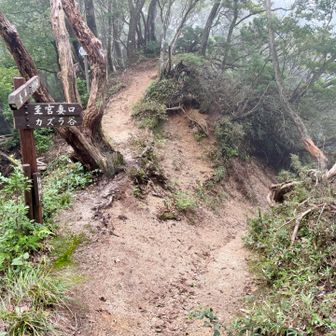 カズラ谷登山道を下山します。