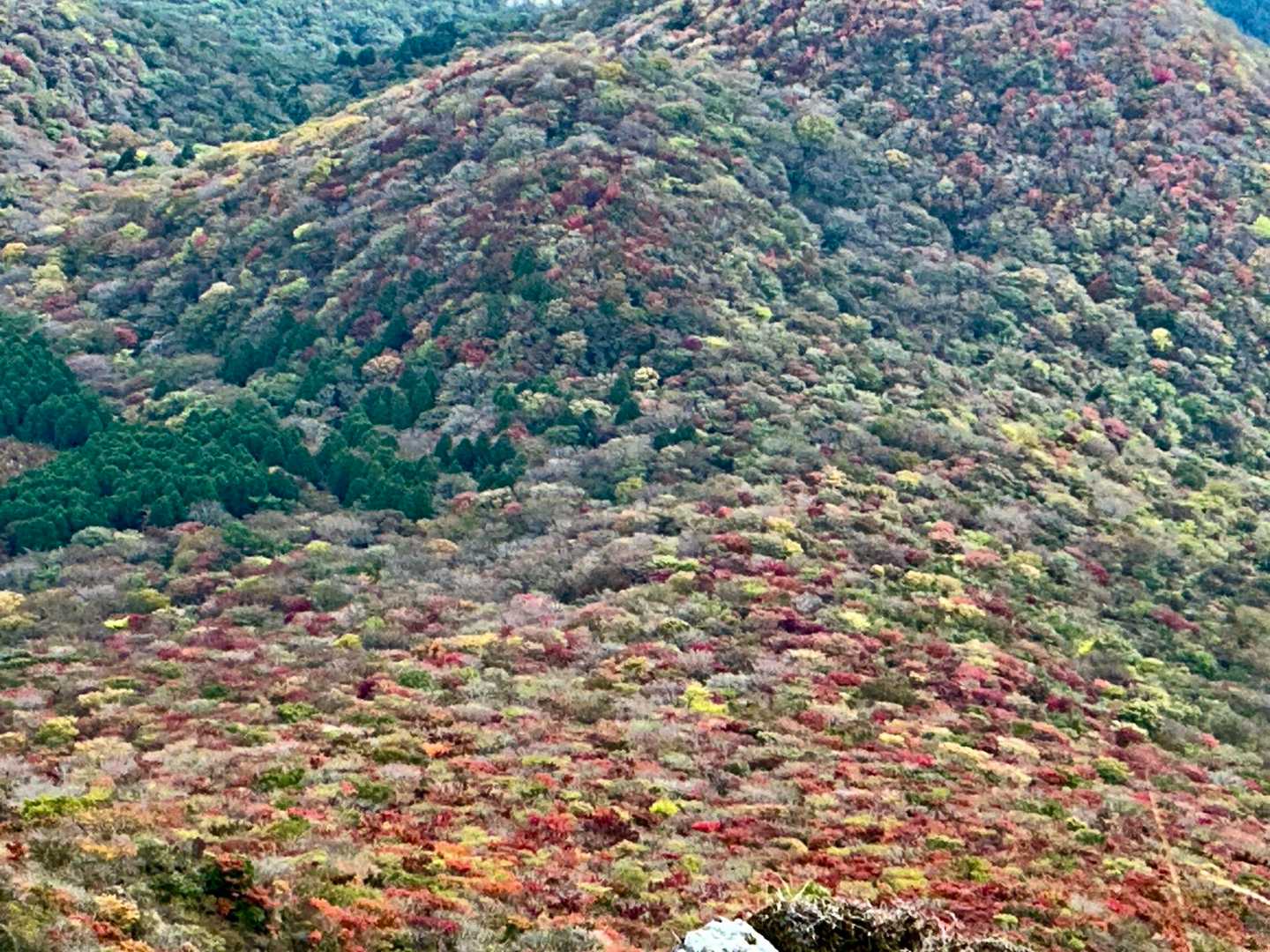上手く写せない