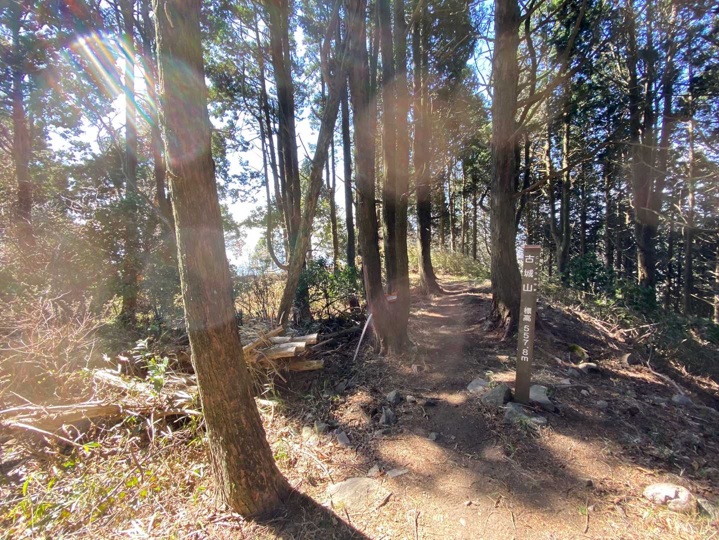 古城山。鹿鳴越城ともいうらしい

だいたい大友さんのお城やろ〜って言うくらいのノリで来たけど、下調べが足らなすぎた😑はっきり残った遺構がたくさん。縄張図あったらおもしろそうなところだった。