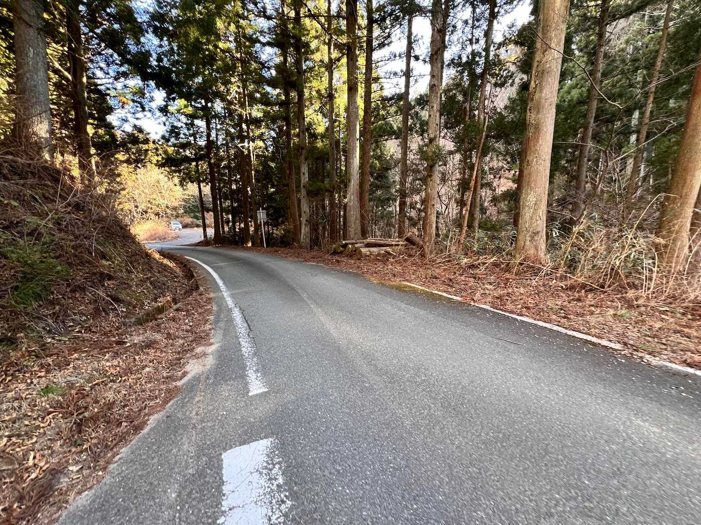 戻って来ました。