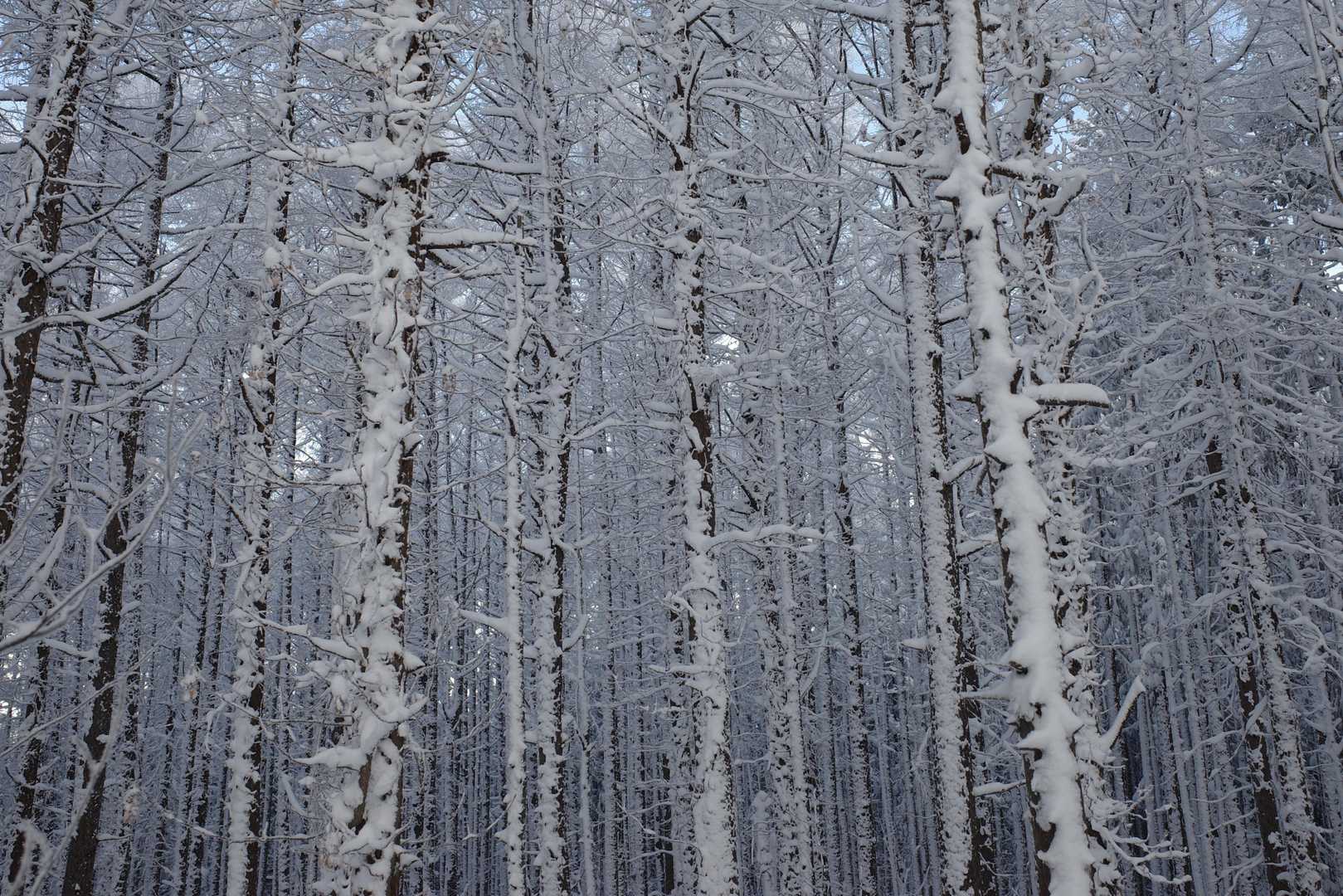 写真で見てた景色が