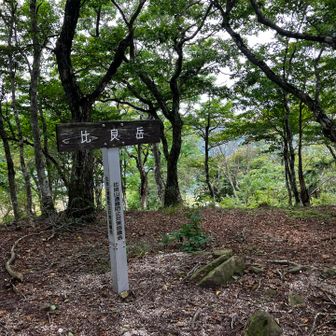 少しコースから外れて比良岳に到着
🎉🎉
ここは広い山頂でした。
ここまでアップダウンが多く、体力消耗しましたが、ようやく次が蓬莱山