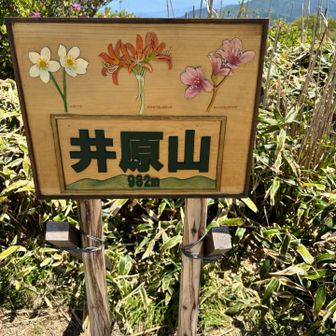 井原山
最近福岡の山々でこの木彫りの山頂板を見かけます
その山々の特徴を彫られていて一ファンとして遭遇したときとても嬉しく思います