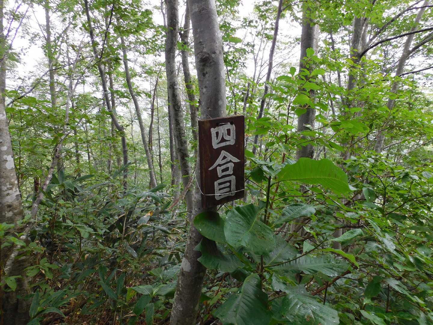 槍ヶ先-中先-火打岳 往復コースの写真
